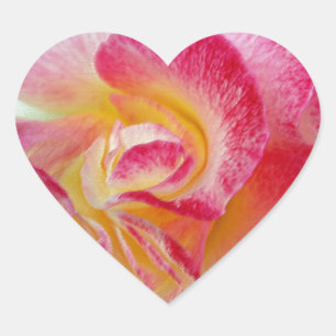 yellow pink petals heart sticker