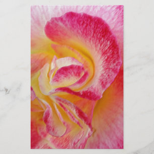 yellow pink petals stationery