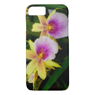Yellow Pink Purple Miltonia Sunset Orchids iPhone 8/7 Case