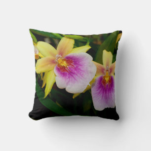 Yellow Pink Purple Miltonia Sunset Orchids Cushion