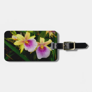 Yellow Pink Purple Miltonia Sunset Orchids Luggage Tag