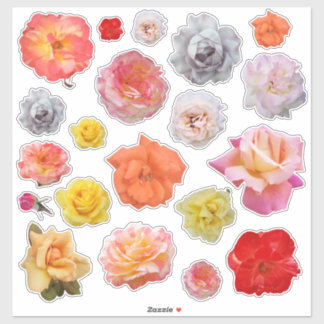 Yellow Pink Red Orange Cutout Rose Photos