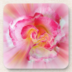 yellow pink Rose Coaster