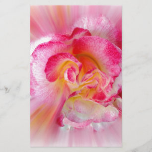 yellow pink Rose Stationery