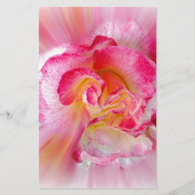yellow pink Rose Stationery (Front)