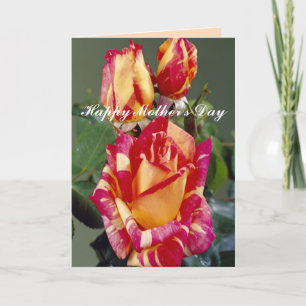 Yellow Pink Roses Greeting Card