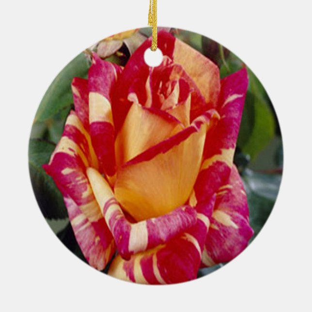 Yellow Pink Roses Ornament (Back)