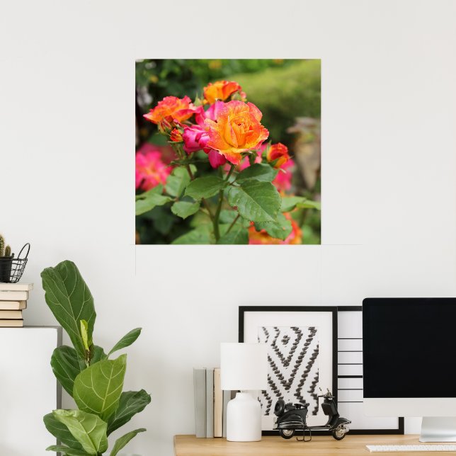 Yellow Pink Roses Poster Print (Home Office)