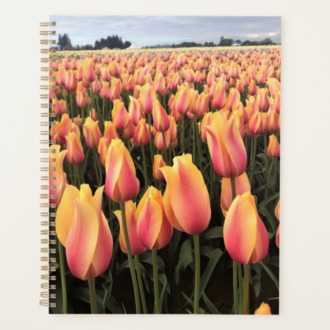 Yellow & Pink Tulip Field, Oregon Planner (Front)