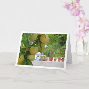 Yellow Plum Portrait Card