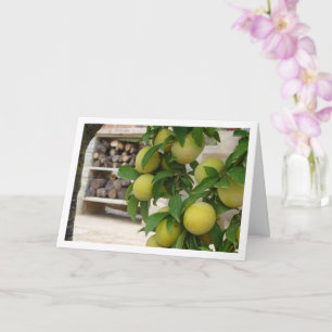 Yellow Plum Rustic Portrait Card