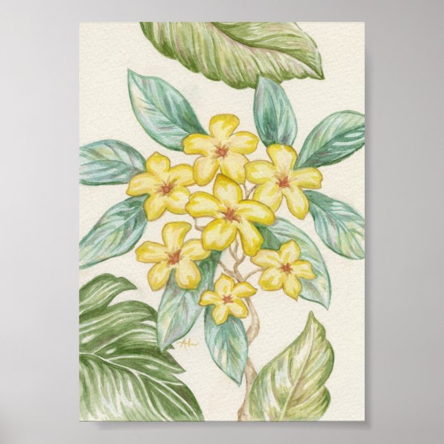 Yellow Plumeria art print (Front)