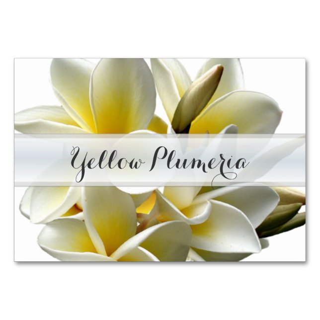 Yellow Plumeria Tropical Wedding Table Name Cards (Front)