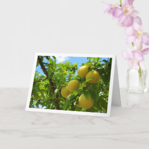 Yellow Plums Blue Sky Card