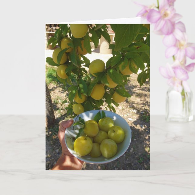 Yellow Plums in Bowl Portrait Card (Orchid)