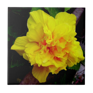 Yellow pomegranate flower ceramic tile