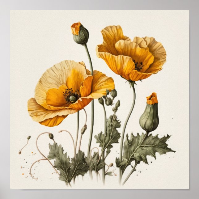 Yellow Poppy Flowers Art Print Poster (Front)