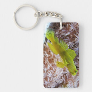 Yellow prawn-goby key ring