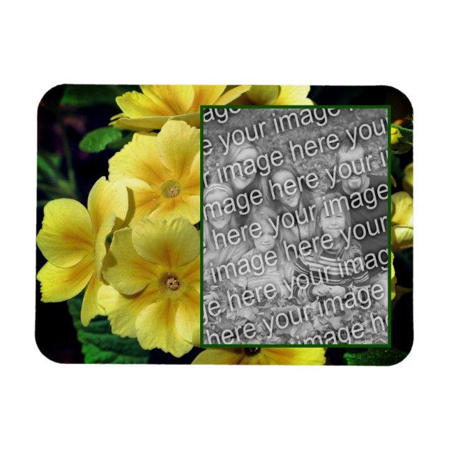 Yellow Primrose Flowers Add Your Photo  Magnet (Horizontal)