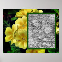 Yellow Primrose Flowers Add Your Photo