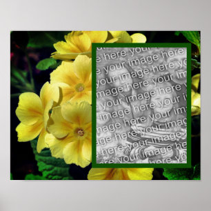 Yellow Primrose Flowers Add Your Photo Poster