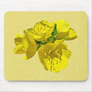 Yellow Primroses - Sundrops Mouse Pad