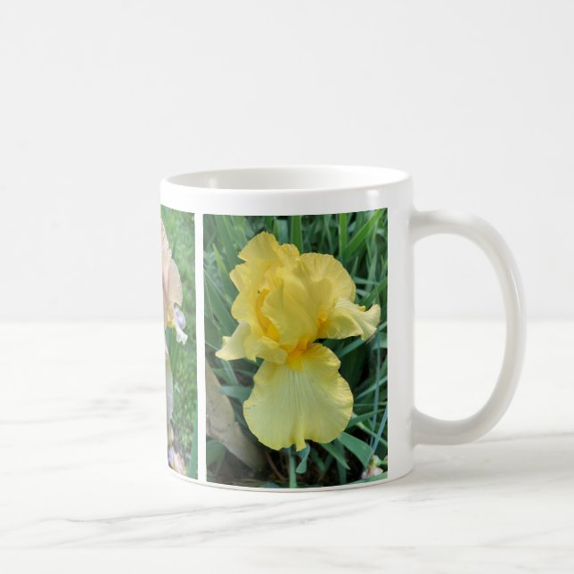 Yellow Purple Pink Iris Elegant Photo Mug (Right)