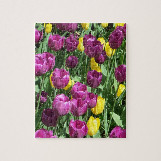 Yellow & Purple Tulip Flowers Jigsaw Puzzle (Vertical)