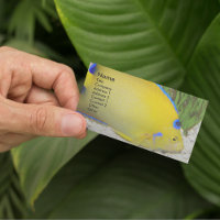 Yellow Queen Angelfish Photo