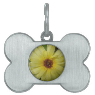 Yellow Raindrops Marigold Pet Tag