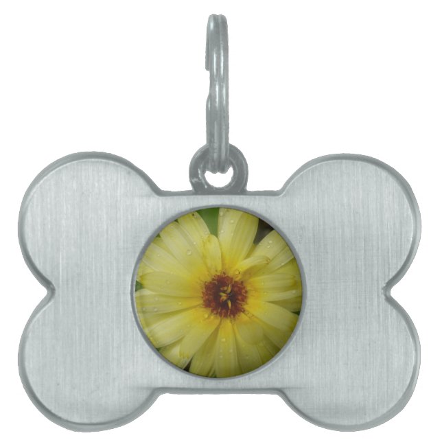 Yellow Raindrops Marigold Pet Tag (Front)