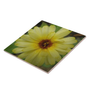 Yellow Raindrops Marigold Tile