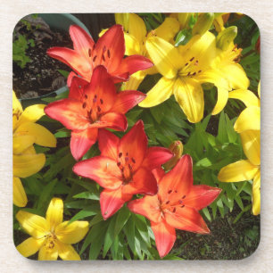 Yellow & Red Flower Lily Photo Designed Coaster
