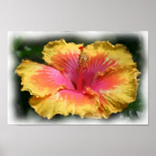 Yellow Red Hibiscus Flower Art Photo Painting Poster