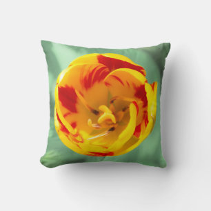 Yellow-red tulip, cushion