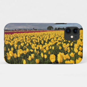 Yellow & Red Tulip Field, Oregon iPhone 11 Case