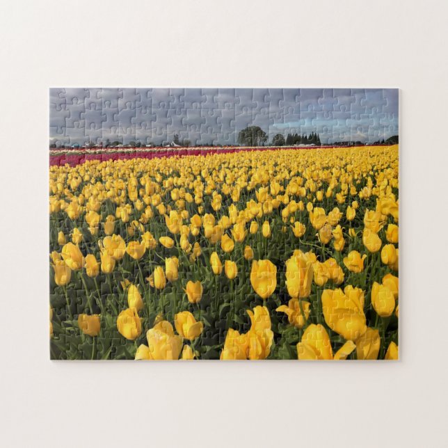 Yellow & Red Tulip Field, Oregon Jigsaw Puzzle (Horizontal)