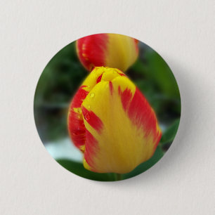 yellow red tulips 6 cm round badge