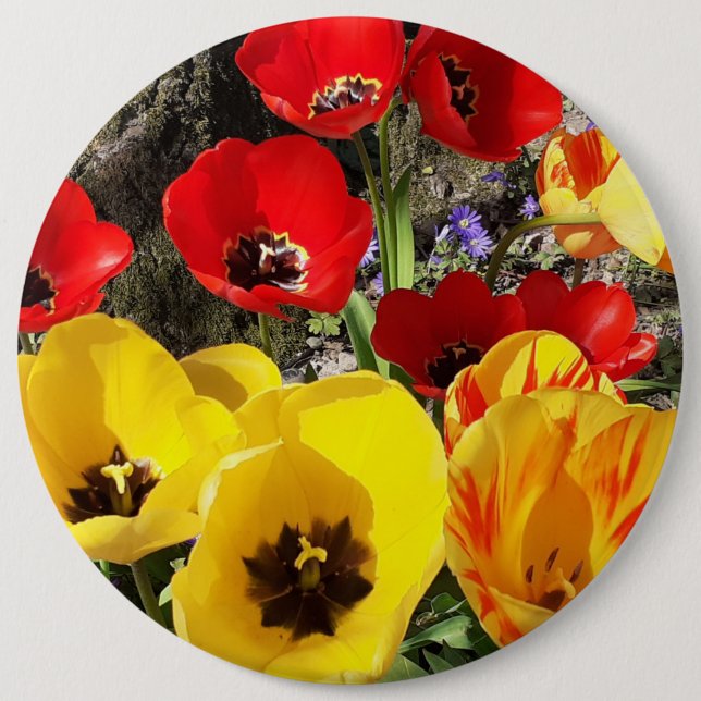 Yellow & Red Tulips 6 Cm Round Badge (Front)