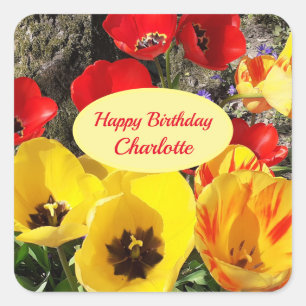 Yellow & Red Tulips Birthday   Square Sticker