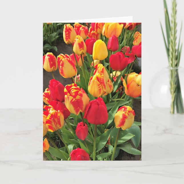 Yellow & Red Tulips Card (Front)