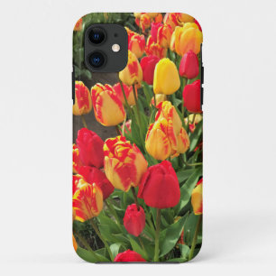 Yellow & Red Tulips iPhone 11 Case