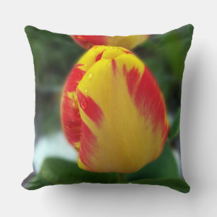 yellow red tulips cushion