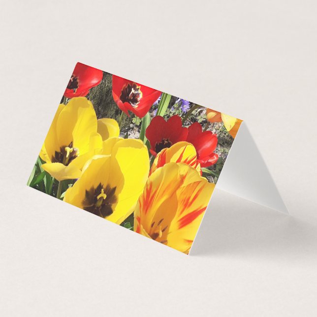 Yellow & Red Tulips Folded Card (Front)