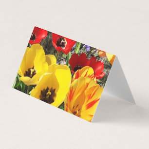 Yellow & Red Tulips Folded Card