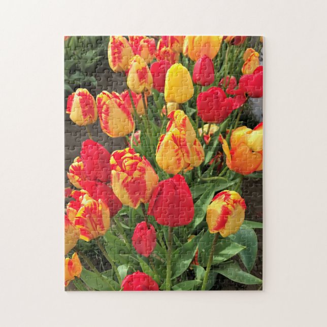 Yellow & Red Tulips Jigsaw Puzzle (Vertical)