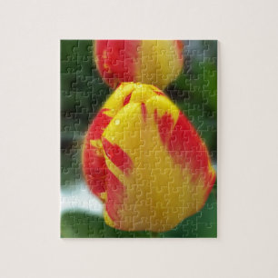 yellow red tulips jigsaw puzzle