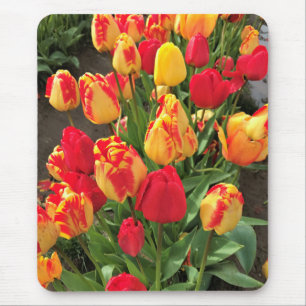 Yellow & Red Tulips Mouse Pad