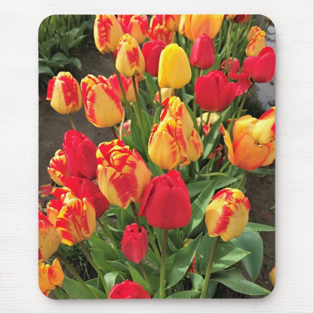 Yellow & Red Tulips Mouse Pad (Front)