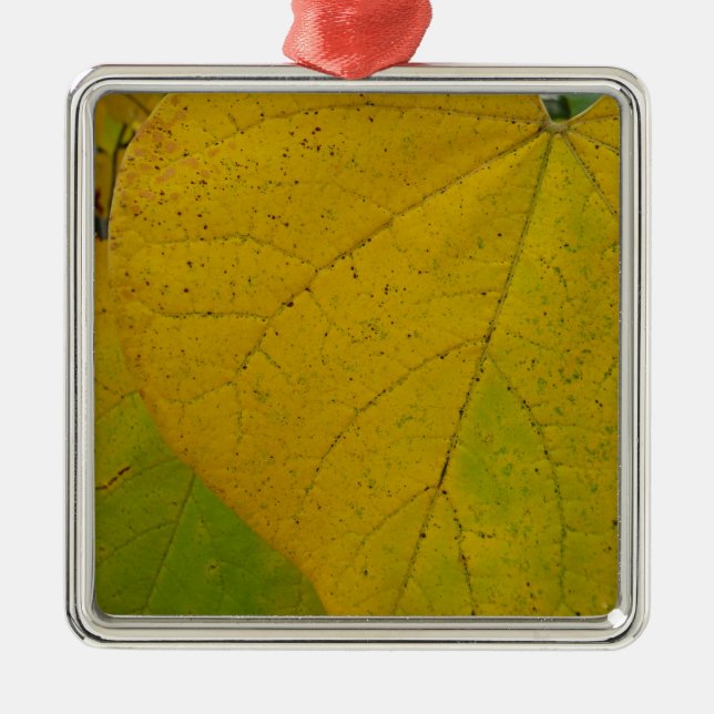 Yellow Redbud Leaves Autumn Nature Photography Metal Ornament (Front)